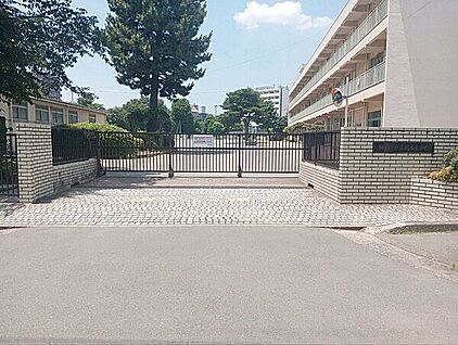 相模原市立橋本小学校 564m