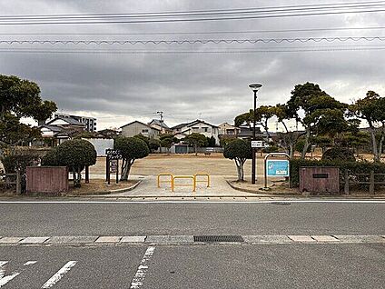 昭和公園 243m