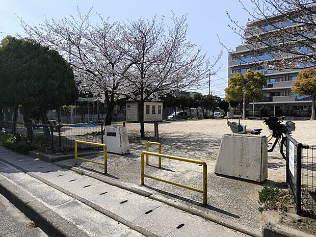 新場山公園（約242m）