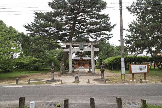 生の松原公園(約255m)
