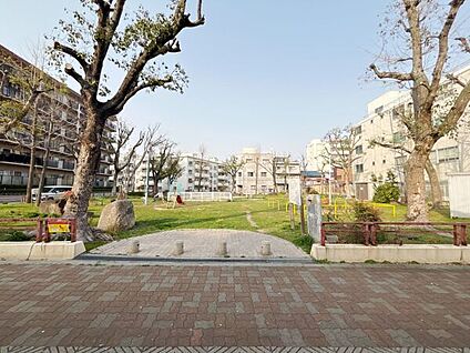港晴南公園 216m