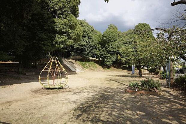 春日山公園（約985m）