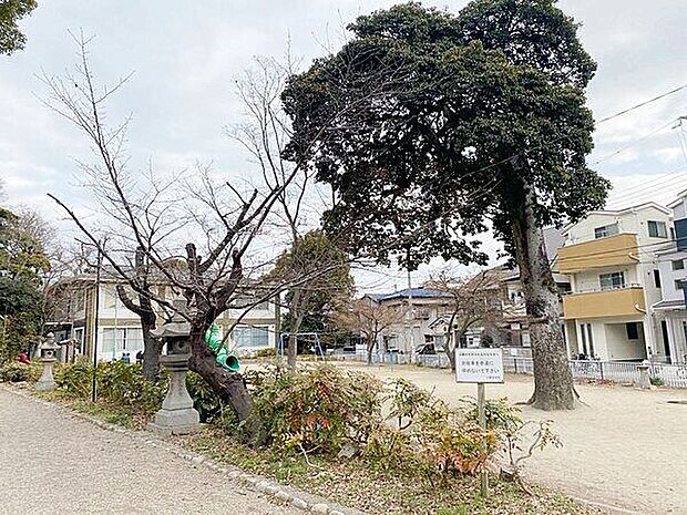 早苗の森公園(約727m)