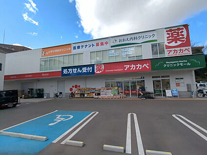 ドラッグアカカベ成田西町店 1250m