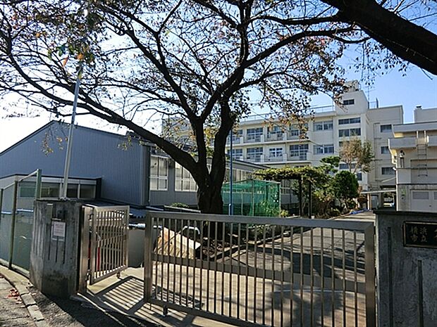 横浜市立篠原小学校(約954m)