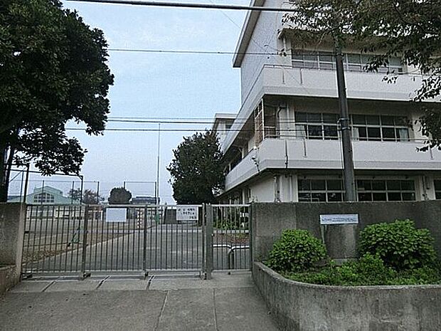 横浜市立上飯田中学校(約254m)