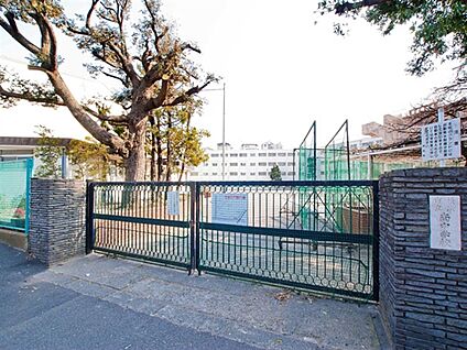 横浜市立南中学校 824m