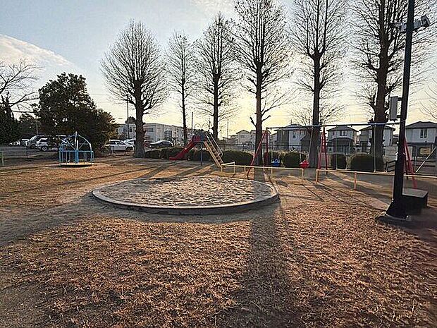 上池児童遊園（約529m）