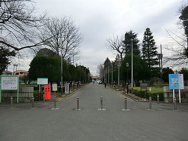 川口市青木町公園（約416m）