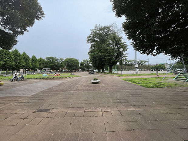 藁田島公園(約815m)