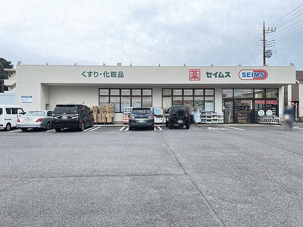 ドラッグセイムス 下保谷店(約422m)