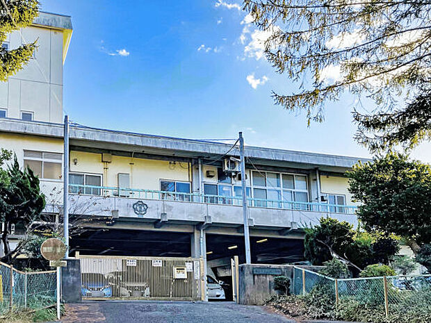 鎌倉市立山崎小学校(約586m)