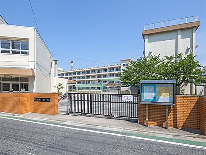 葛飾区立亀青小学校 911m