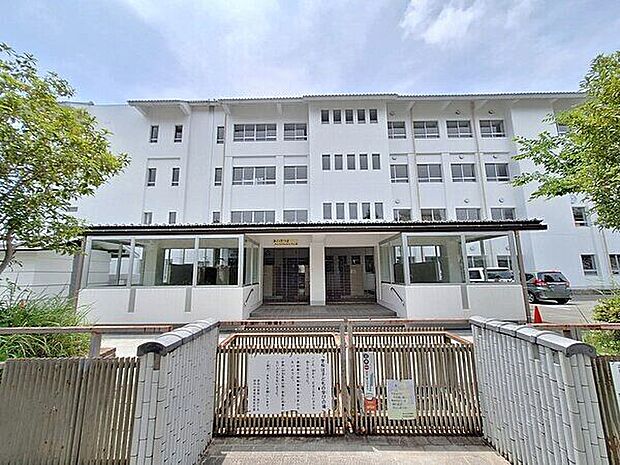 伊丹市立伊丹小学校（約252m）