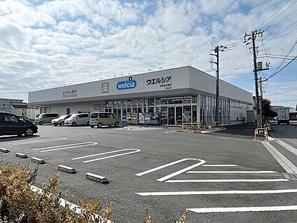 ウエルシア太田台之郷店 550m