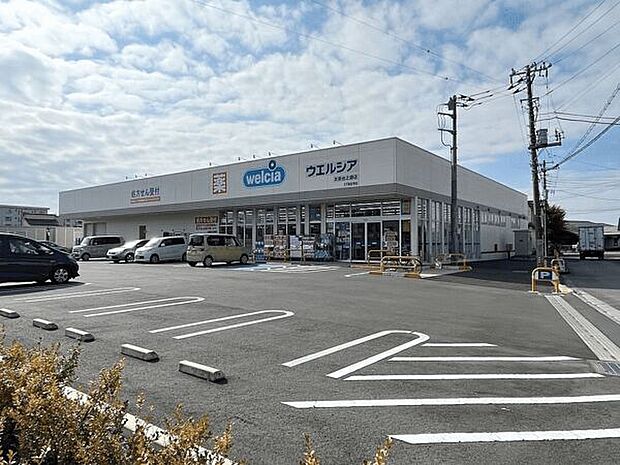 ウエルシア太田台之郷店（約550m）