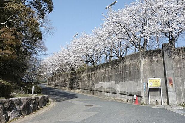 太宰府市立太宰府中学校（約782m）