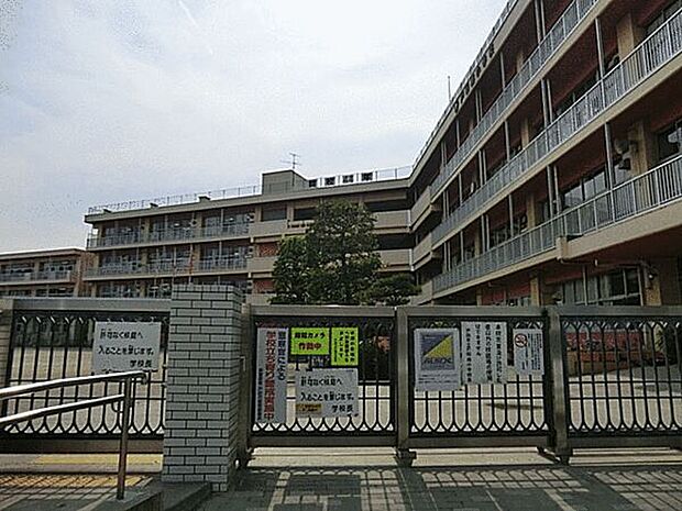 戸田市立戸田南小学校（約919m）