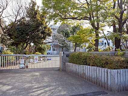 川崎市立南加瀬中学校 1175m