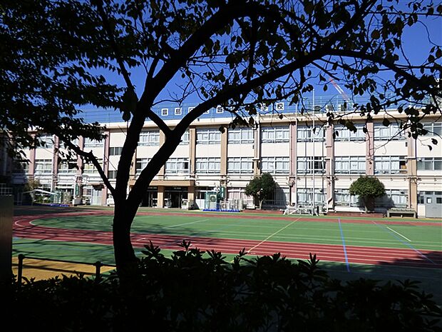 豊島区立豊成小学校（約165m）