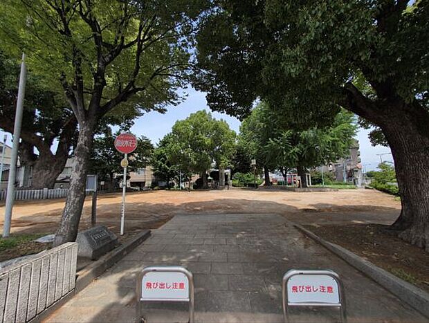 須賀の森公園（約66m）