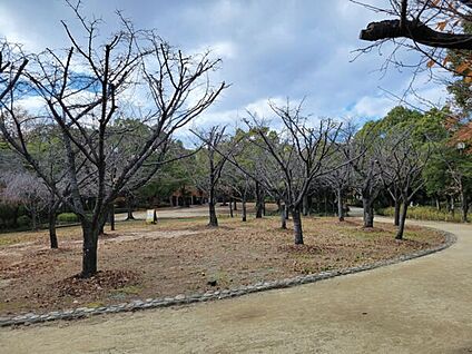 杭の本公園 832m
