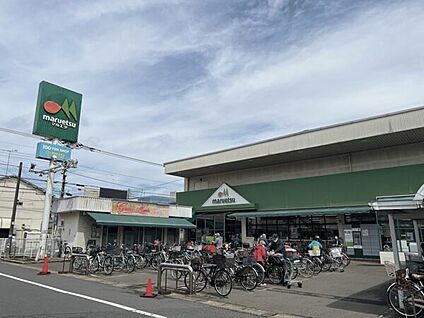 松戸市立古ケ崎中学校 1243m
