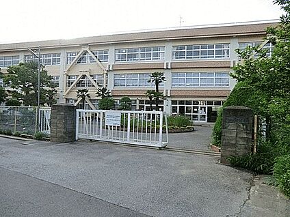柏市立柏第七小学校 1424m