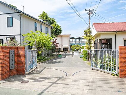 茅ヶ崎市立茅ヶ崎小学校 1150m