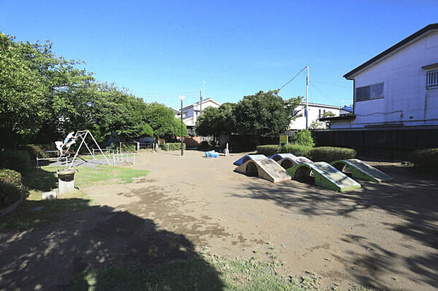 藤沢市立明治中学校（約486m）
