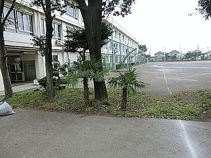 小平市立上水中学校 575m