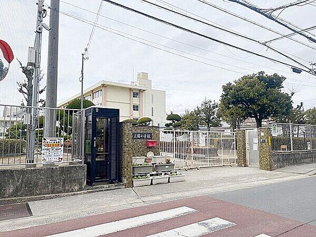 八尾市立美園小学校(約879m)