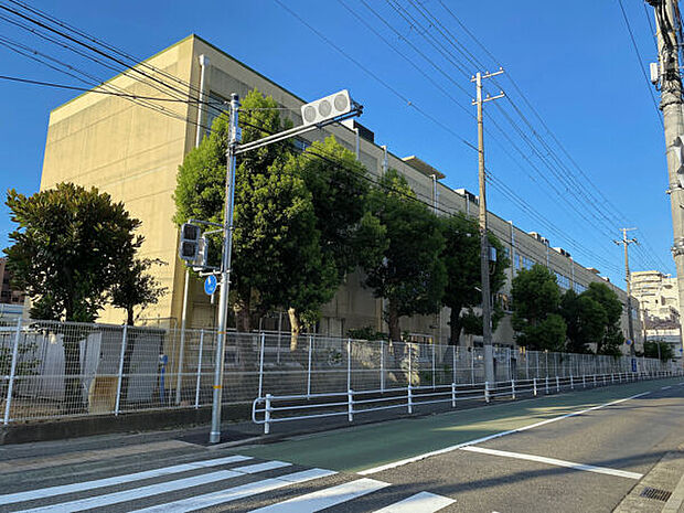 神戸市立東灘小学校(約979m)