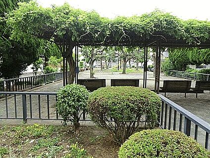 しいの木公園 294m