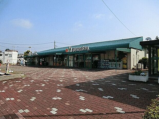 マルエツ大宮プラザ店(約267m)