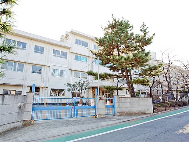 川崎市立梶ヶ谷小学校(約537m)