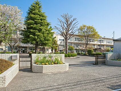 相模原市立谷口台小学校 1315m