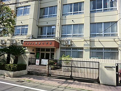 川崎市立苅宿小学校 482m
