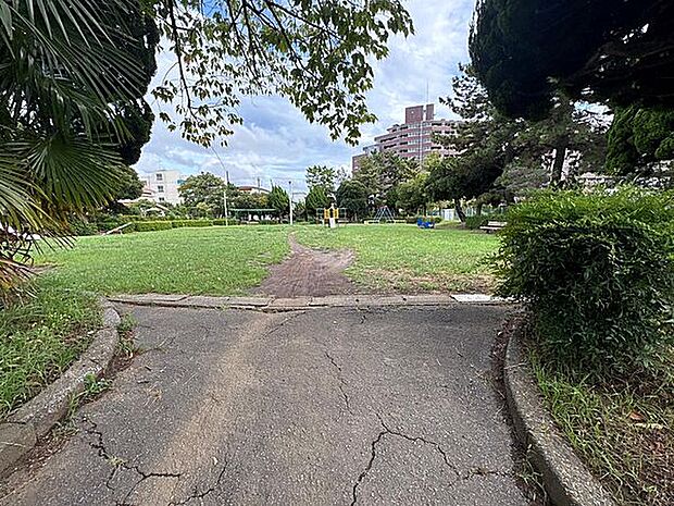 真砂5丁目第3公園(約555m)