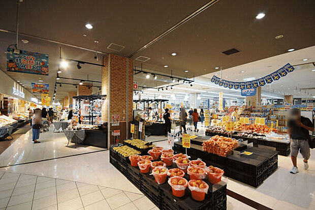 アピタ名古屋空港店(約777m)