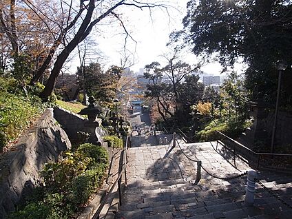 高野医院 298m