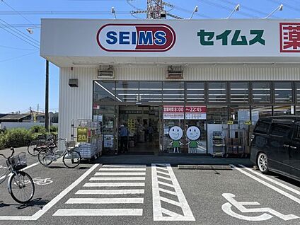 ドラッグセイムス 綾瀬南店 1258m