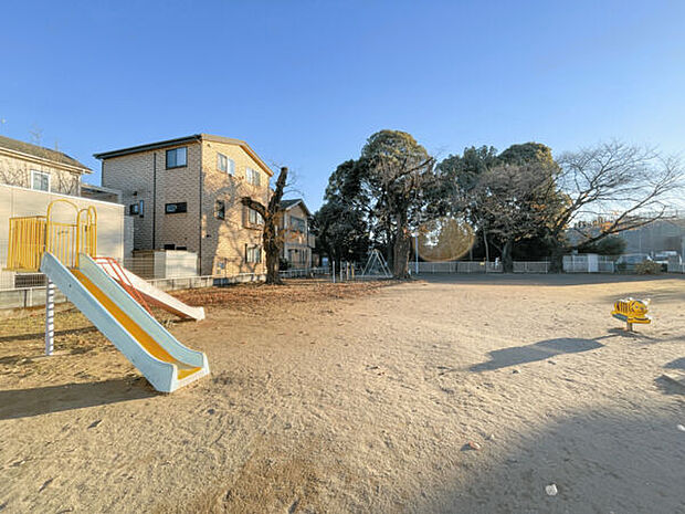 上加公園(約593m)