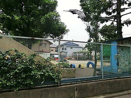 練馬幼稚園 876m