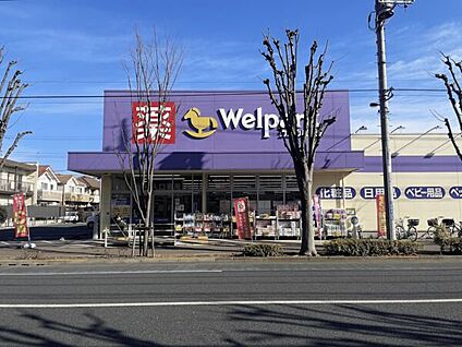 ウェルパーク 小金井東町店 889m