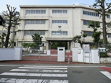川崎市立東菅小学校 593m