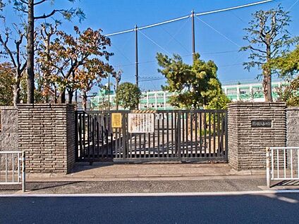 横浜市立入船小学校 231m