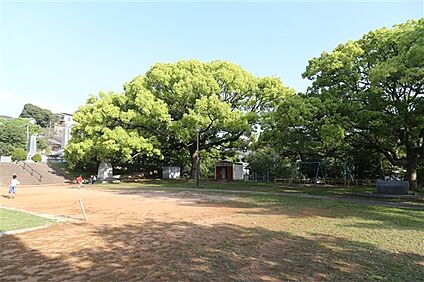 谷公園 1040m