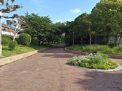 新駅８号公園 1025m
