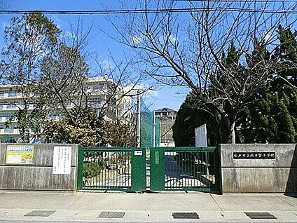 松戸市立殿平賀小学校 907m